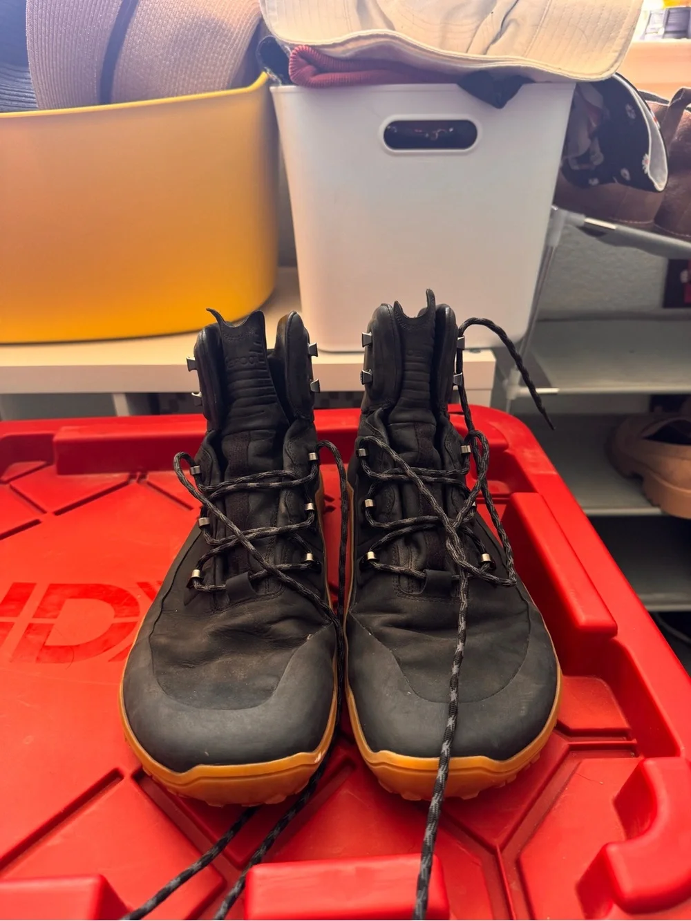 Vivo Barefoot Tracker Forest